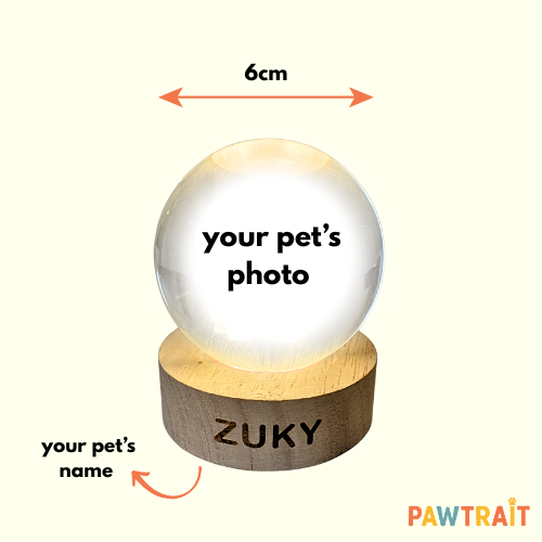 Pawtrait Glass Keepsake